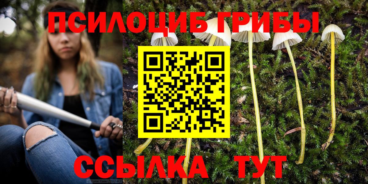 купить   Галлюциногенные грибы GOLDEN TEACHER  Вход с VPN  Ярцево 